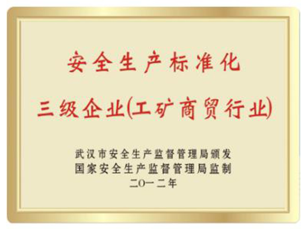 安全生產(chǎn)標(biāo)準(zhǔn)化